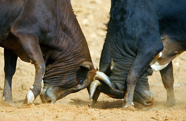 Discutir Peleando